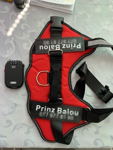 M***M review of Personalized NO-PULL Harness *LIFETIME WARRANTY*