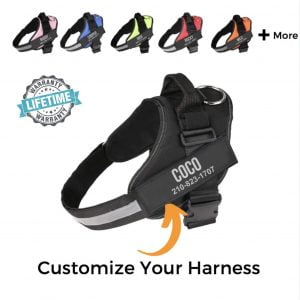 PERSONALIZED NO-PULL HARNESS *LIFETIME WARRANTY*